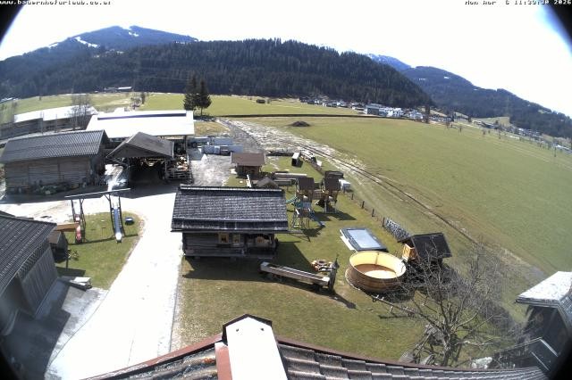 Archiv Foto Webcam Bauernhof Arnoldgut in Altenmarkt