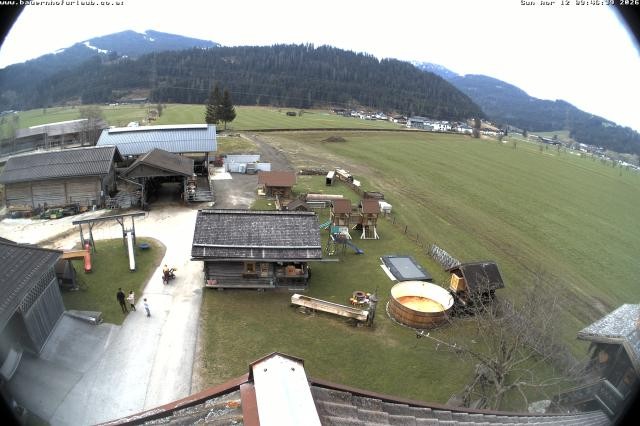 Archived image Webcam Organic farm Arnoldgut in Altenmarkt