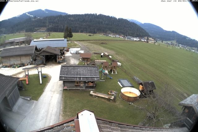 Archiv Foto Webcam Bauernhof Arnoldgut in Altenmarkt