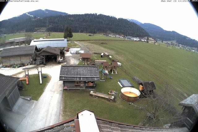 Archived image Webcam Organic farm Arnoldgut in Altenmarkt