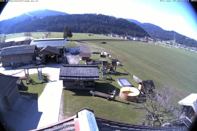 Archiv Foto Webcam Bauernhof Arnoldgut in Altenmarkt