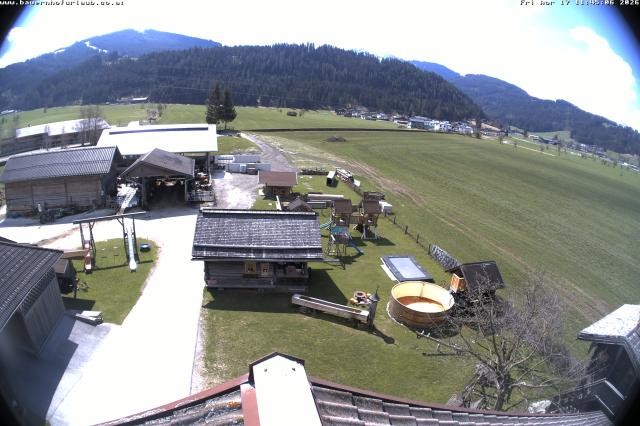 Archiv Foto Webcam Bauernhof Arnoldgut in Altenmarkt