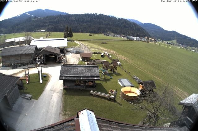 Archiv Foto Webcam Bauernhof Arnoldgut in Altenmarkt