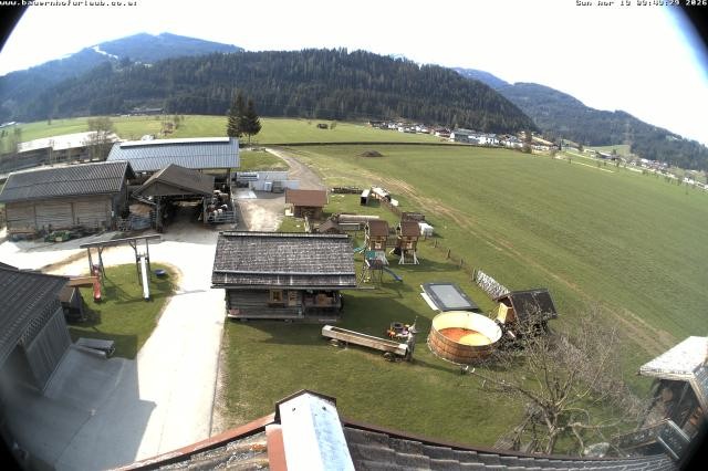 Archived image Webcam Organic farm Arnoldgut in Altenmarkt