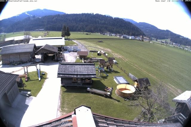 Archiv Foto Webcam Bauernhof Arnoldgut in Altenmarkt
