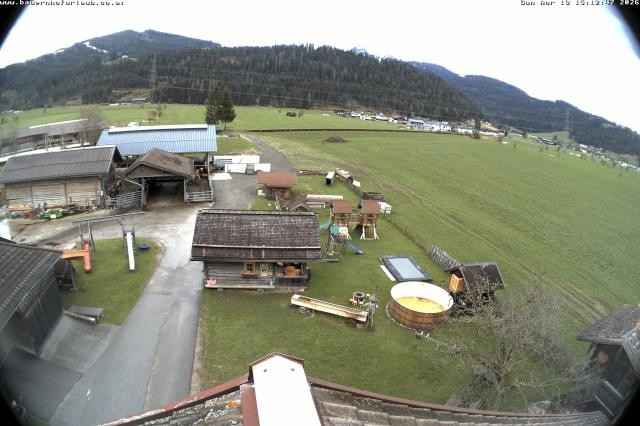 Archiv Foto Webcam Bauernhof Arnoldgut in Altenmarkt