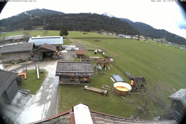 Archiv Foto Webcam Bauernhof Arnoldgut in Altenmarkt