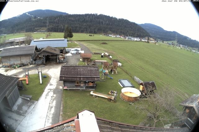 Archiv Foto Webcam Bauernhof Arnoldgut in Altenmarkt