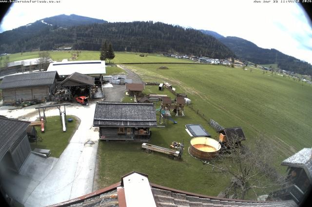 Archiv Foto Webcam Bauernhof Arnoldgut in Altenmarkt