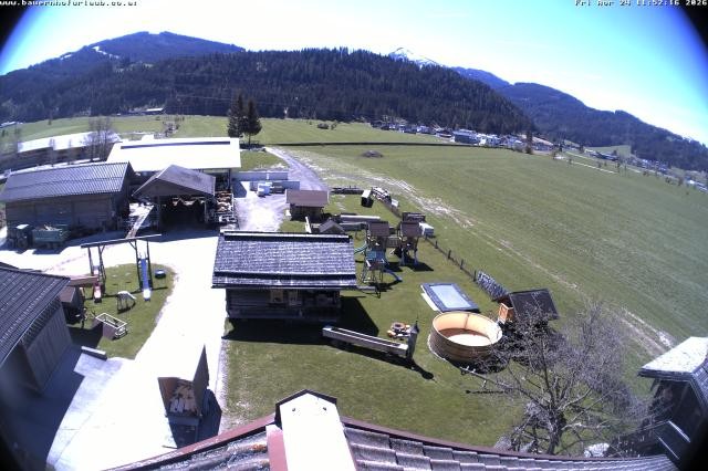 Archived image Webcam Organic farm Arnoldgut in Altenmarkt
