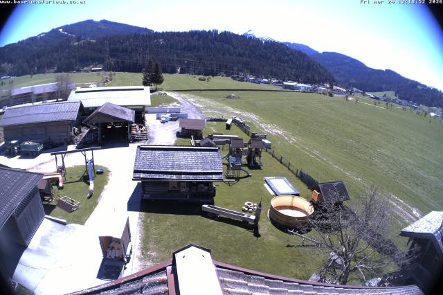 Archived image Webcam Organic farm Arnoldgut in Altenmarkt