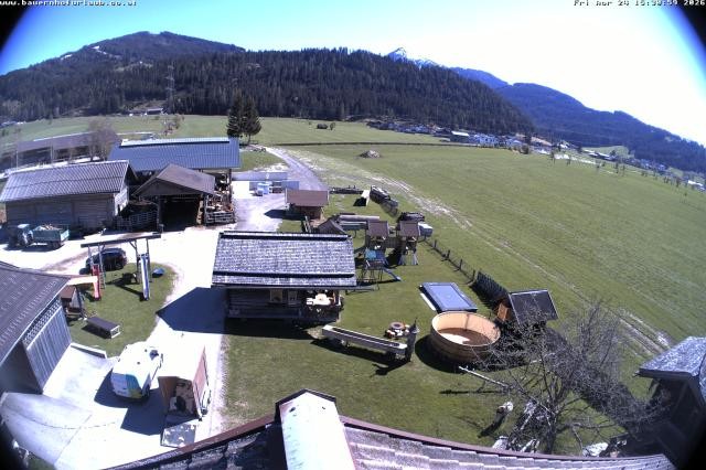Archived image Webcam Organic farm Arnoldgut in Altenmarkt