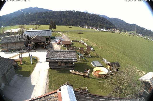 Archiv Foto Webcam Bauernhof Arnoldgut in Altenmarkt
