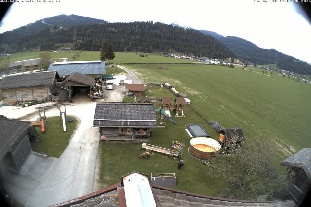 Archiv Foto Webcam Bauernhof Arnoldgut in Altenmarkt