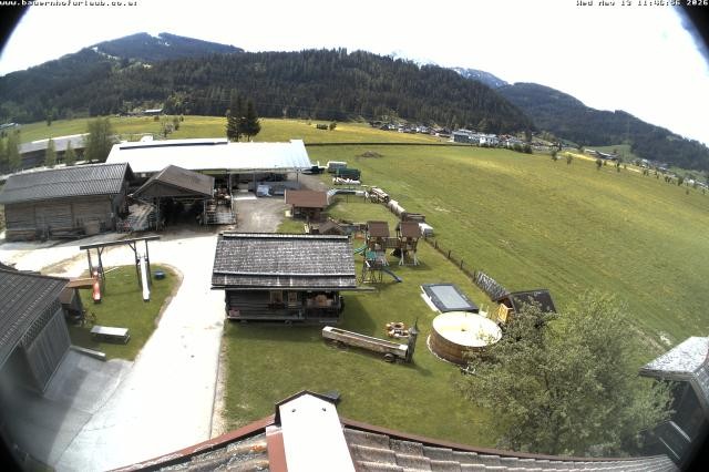 Archiv Foto Webcam Bauernhof Arnoldgut in Altenmarkt