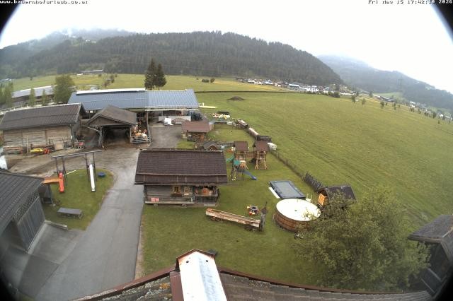 Archiv Foto Webcam Bauernhof Arnoldgut in Altenmarkt