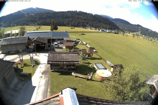 Archived image Webcam Organic farm Arnoldgut in Altenmarkt