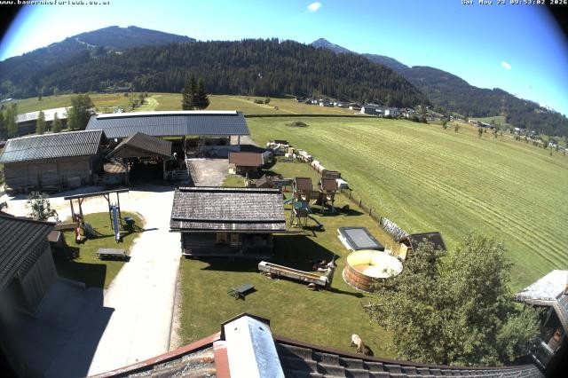 Archiv Foto Webcam Bauernhof Arnoldgut in Altenmarkt