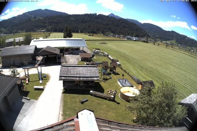 Archiv Foto Webcam Bauernhof Arnoldgut in Altenmarkt