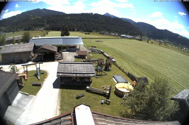 Archiv Foto Webcam Bauernhof Arnoldgut in Altenmarkt