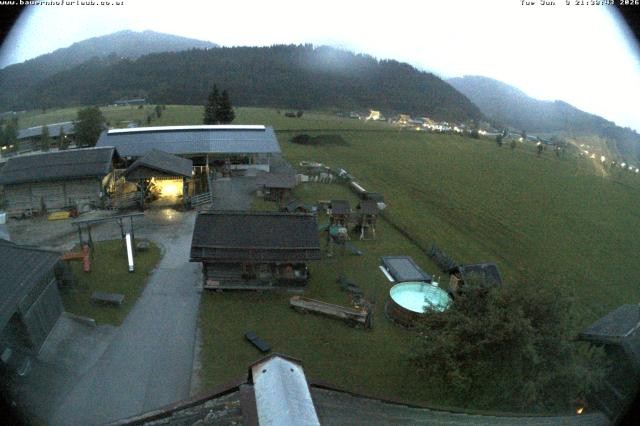 Archiv Foto Webcam Bauernhof Arnoldgut in Altenmarkt