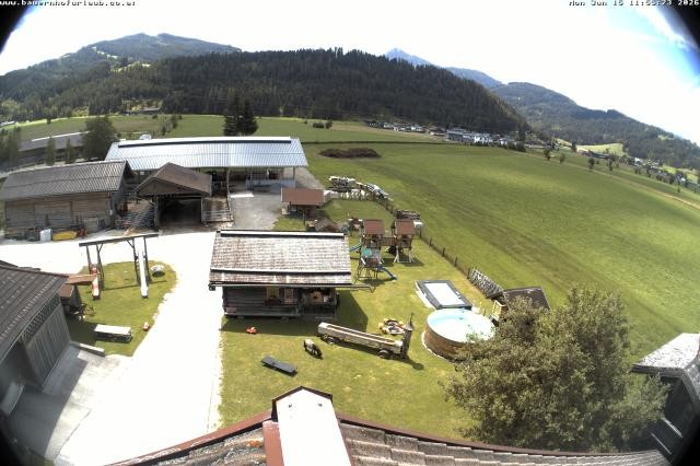 Archiv Foto Webcam Bauernhof Arnoldgut in Altenmarkt