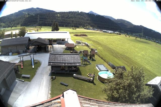 Archiv Foto Webcam Bauernhof Arnoldgut in Altenmarkt