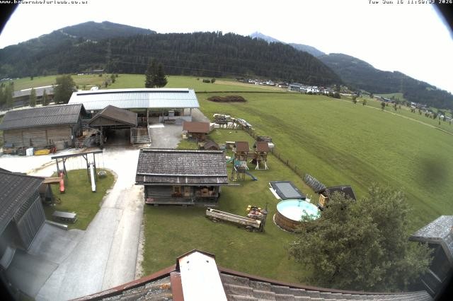 Archiv Foto Webcam Bauernhof Arnoldgut in Altenmarkt
