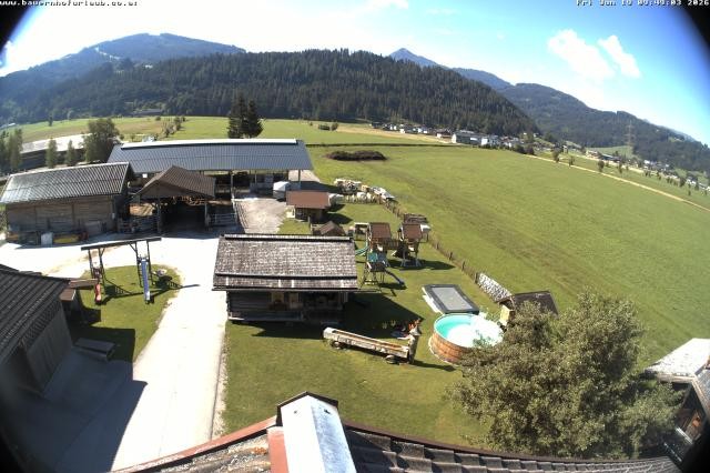 Archiv Foto Webcam Bauernhof Arnoldgut in Altenmarkt
