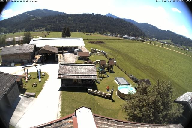 Archiv Foto Webcam Bauernhof Arnoldgut in Altenmarkt