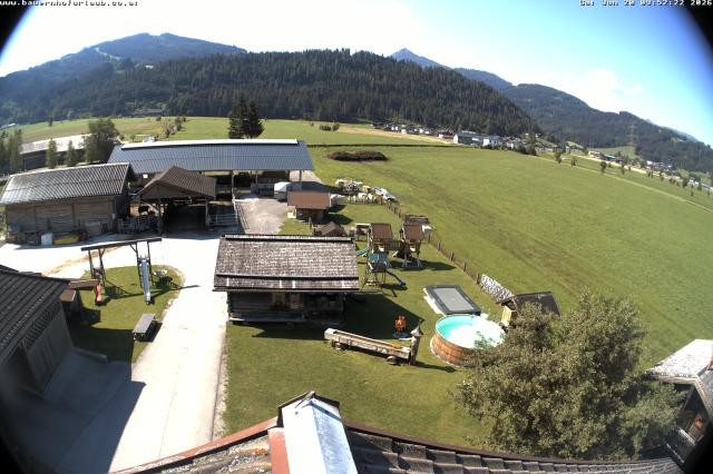 Archiv Foto Webcam Bauernhof Arnoldgut in Altenmarkt