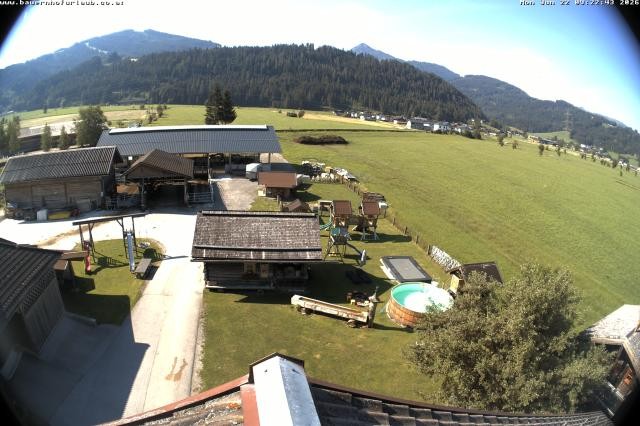 Archived image Webcam Organic farm Arnoldgut in Altenmarkt