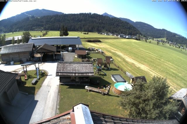 Archived image Webcam Organic farm Arnoldgut in Altenmarkt