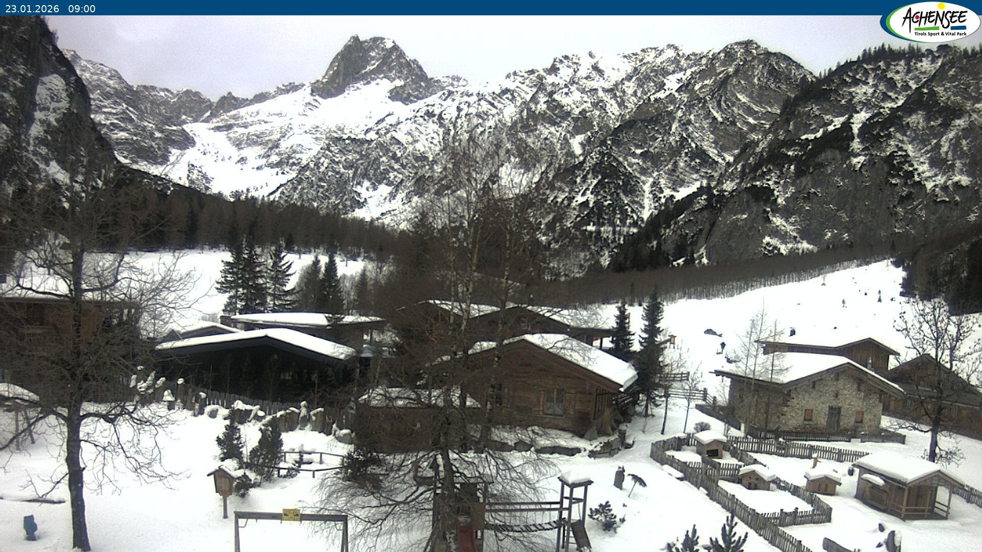 Archiv Foto Webcam Gramaialm bei Pertisau