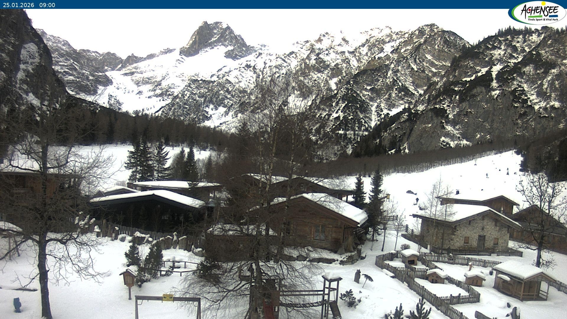 Archiv Foto Webcam Gramaialm bei Pertisau