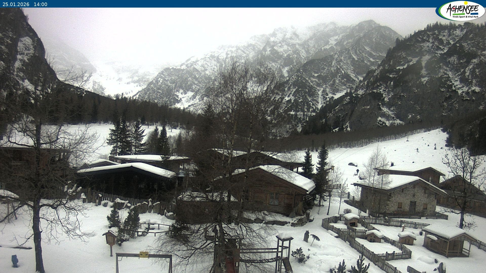 Archiv Foto Webcam Gramaialm bei Pertisau