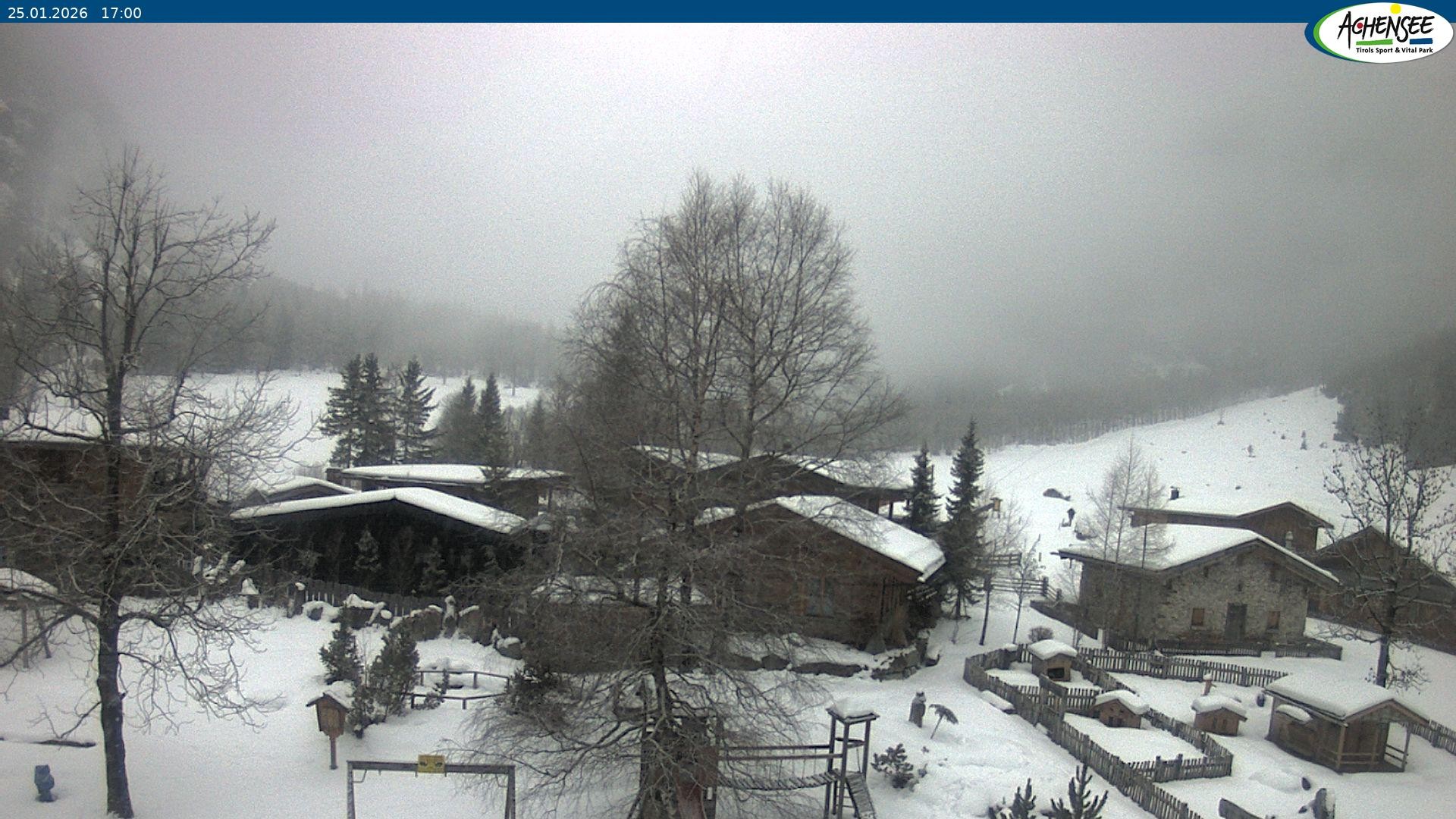 Archiv Foto Webcam Gramaialm bei Pertisau