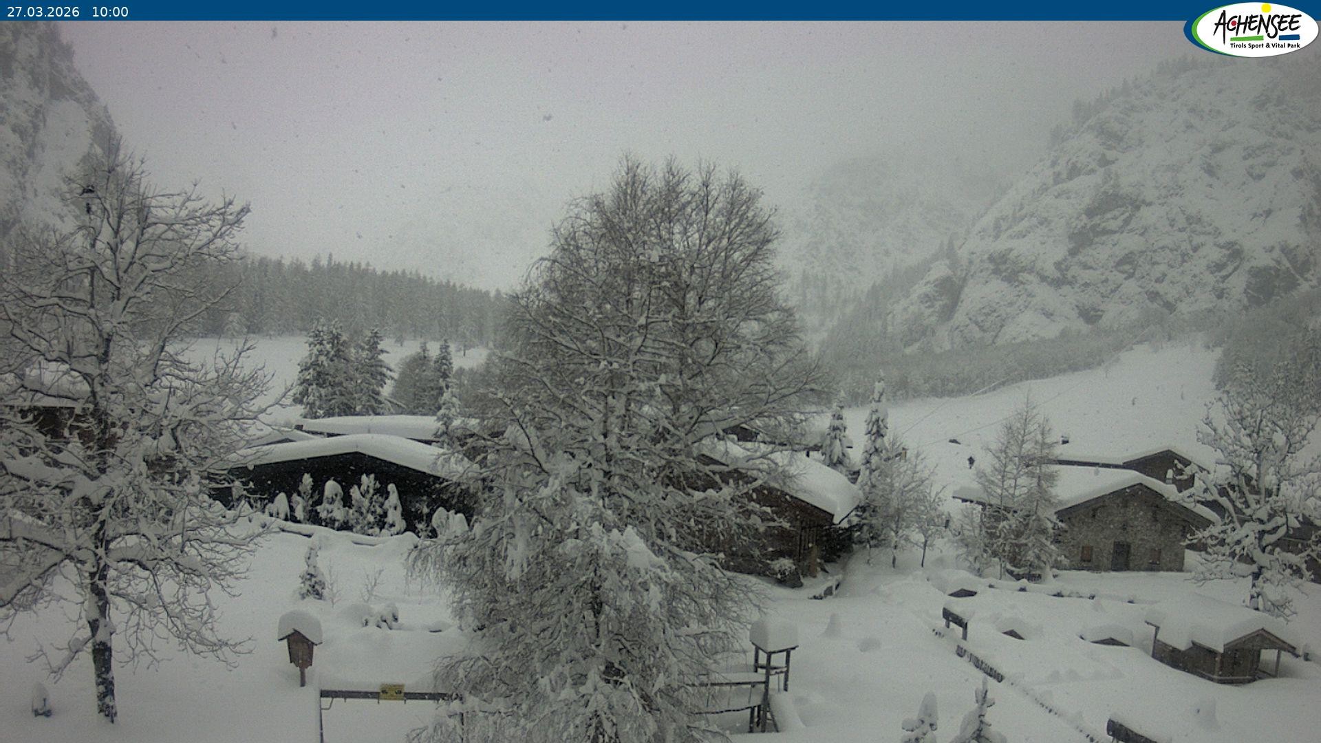 Archiv Foto Webcam Gramaialm bei Pertisau