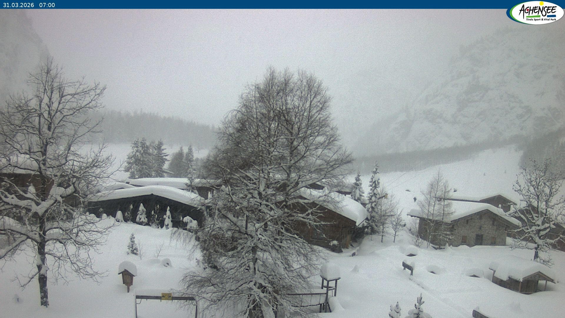 Archiv Foto Webcam Gramaialm bei Pertisau