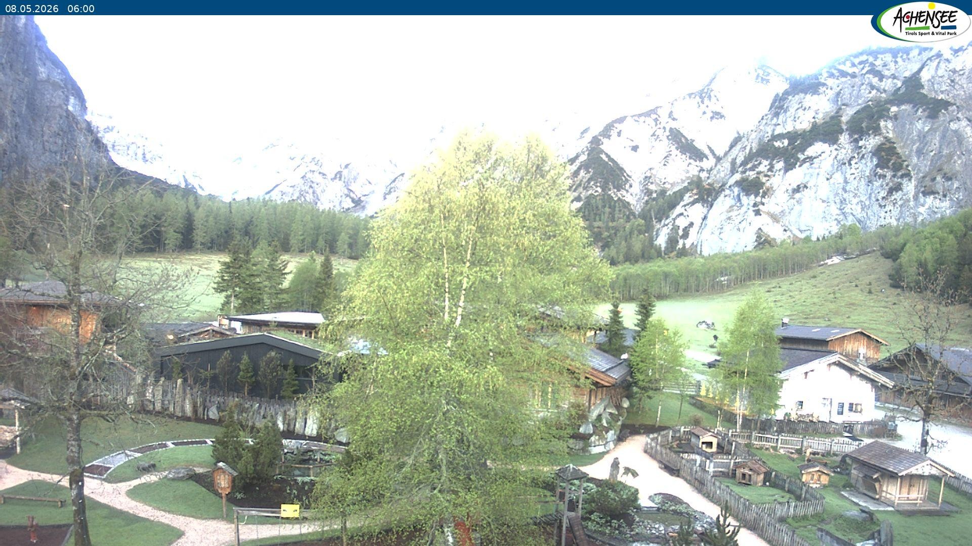 Archiv Foto Webcam Gramaialm bei Pertisau