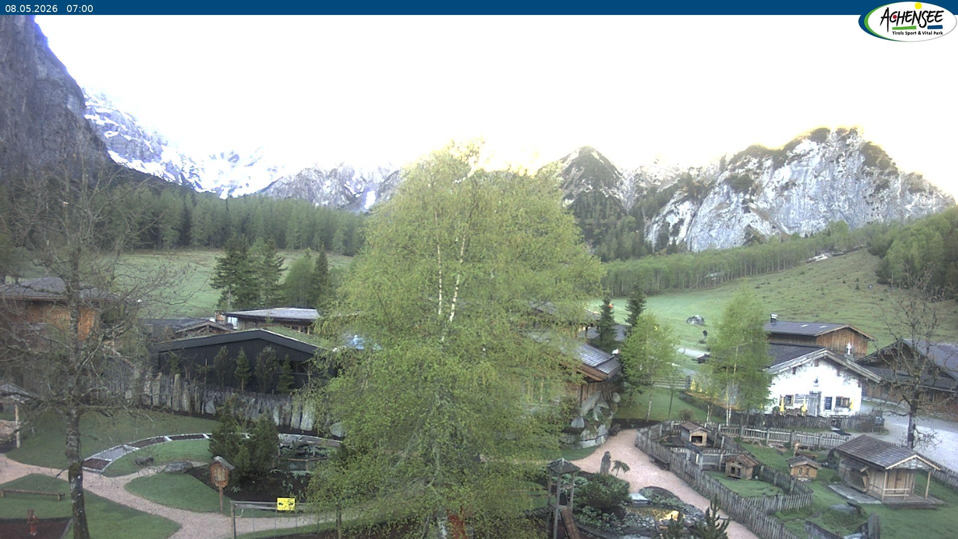 Archiv Foto Webcam Gramaialm bei Pertisau