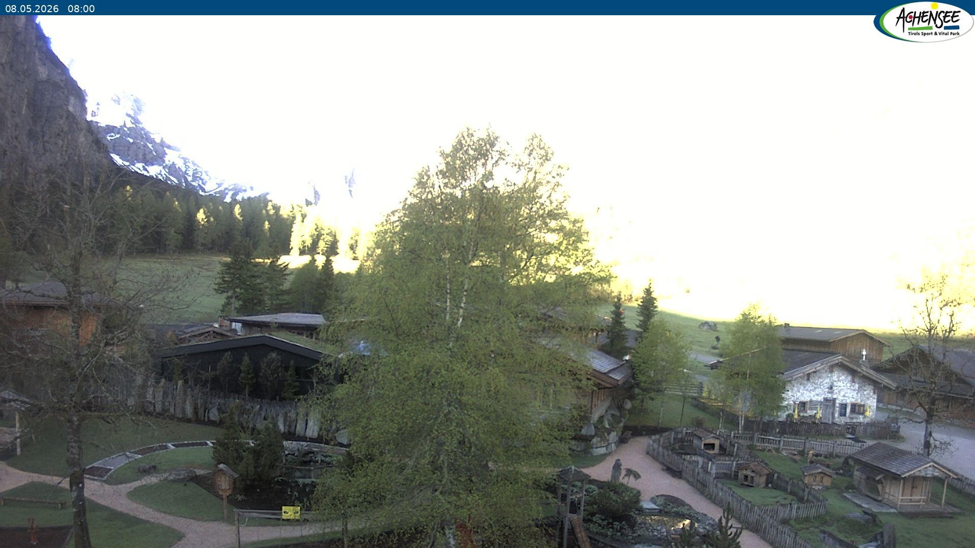 Archiv Foto Webcam Gramaialm bei Pertisau