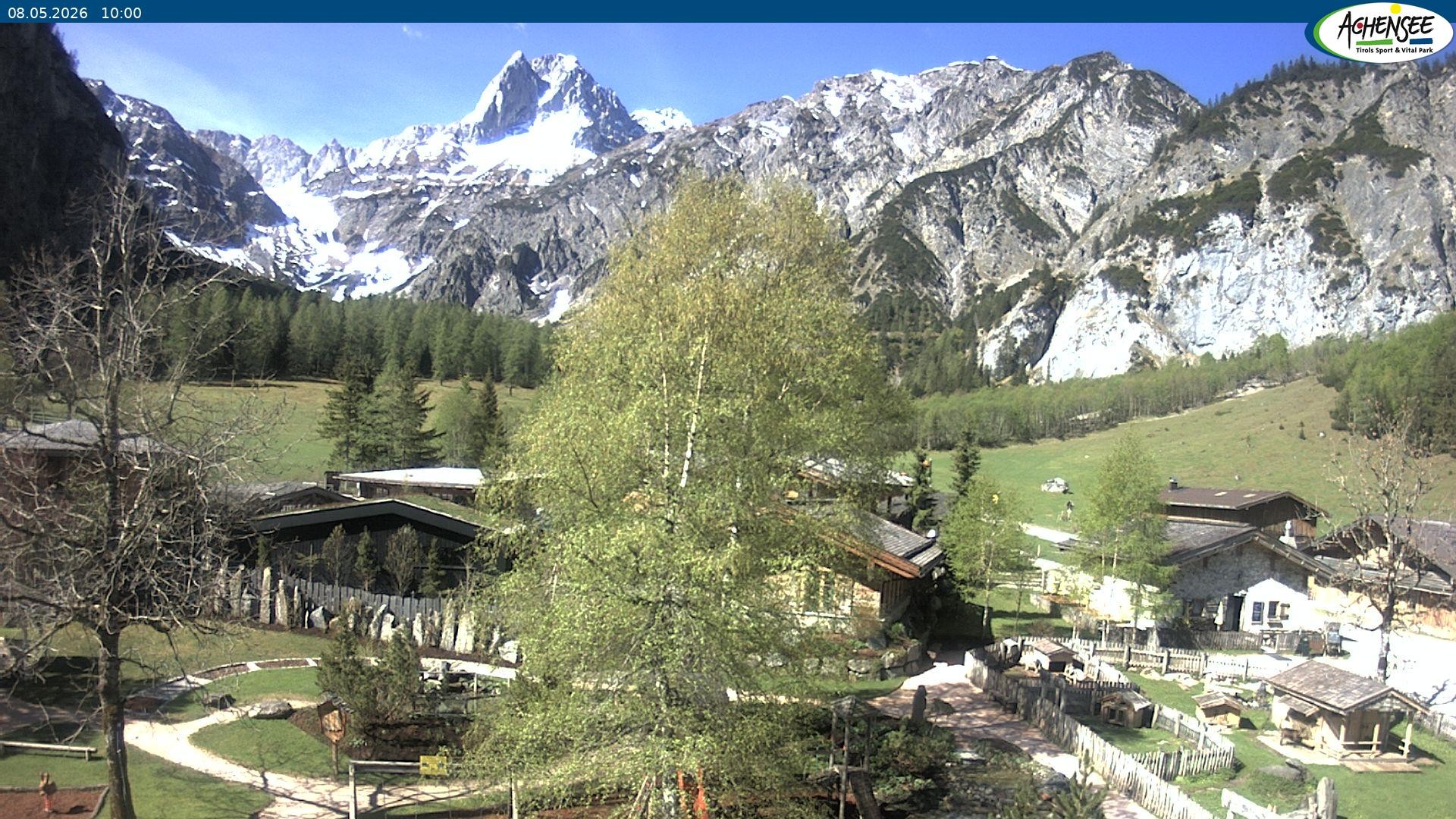 Archiv Foto Webcam Gramaialm bei Pertisau