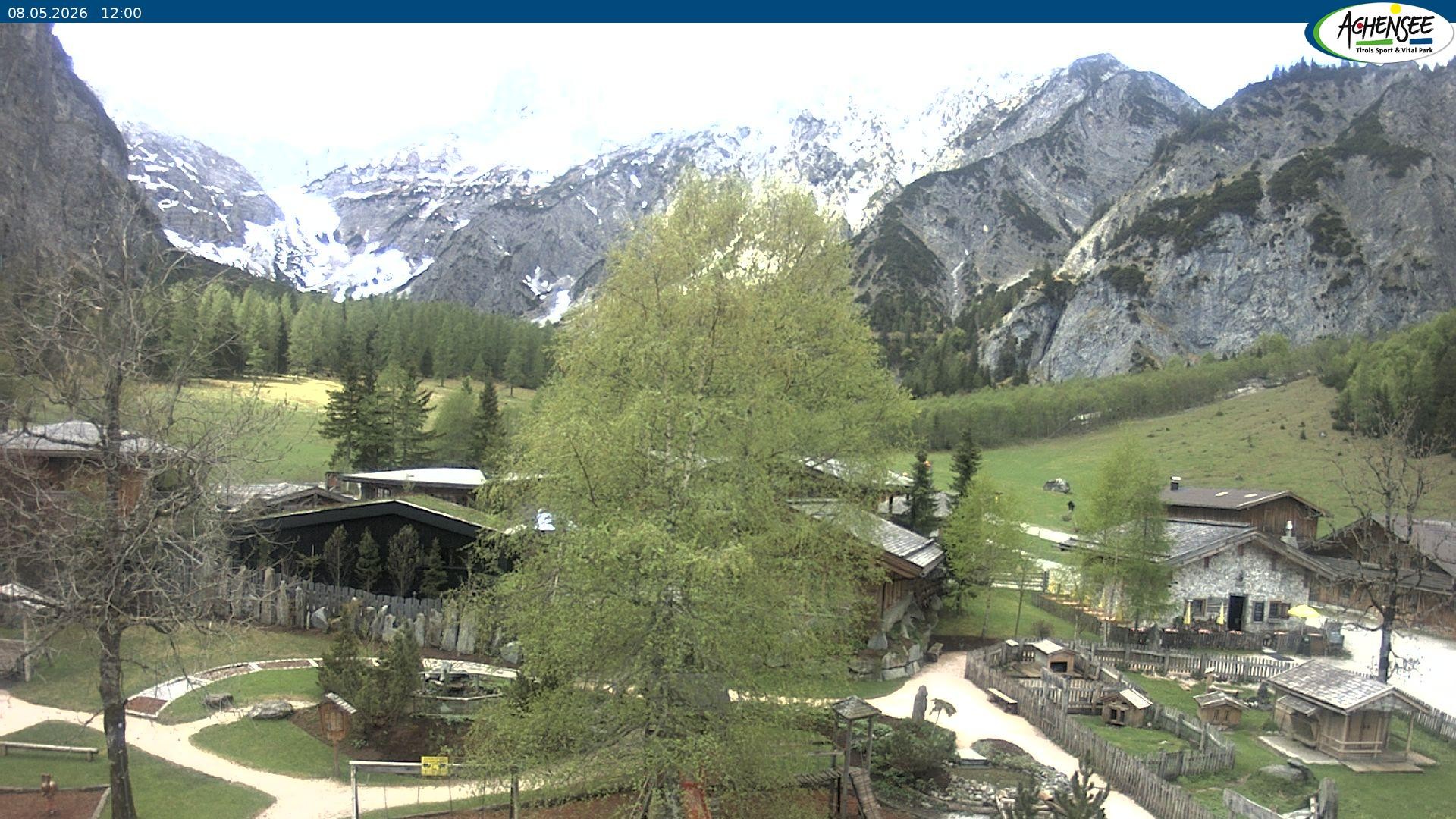 Archiv Foto Webcam Gramaialm bei Pertisau