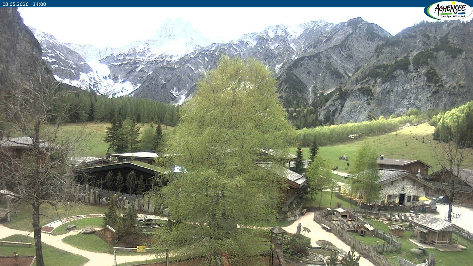 Archiv Foto Webcam Gramaialm bei Pertisau