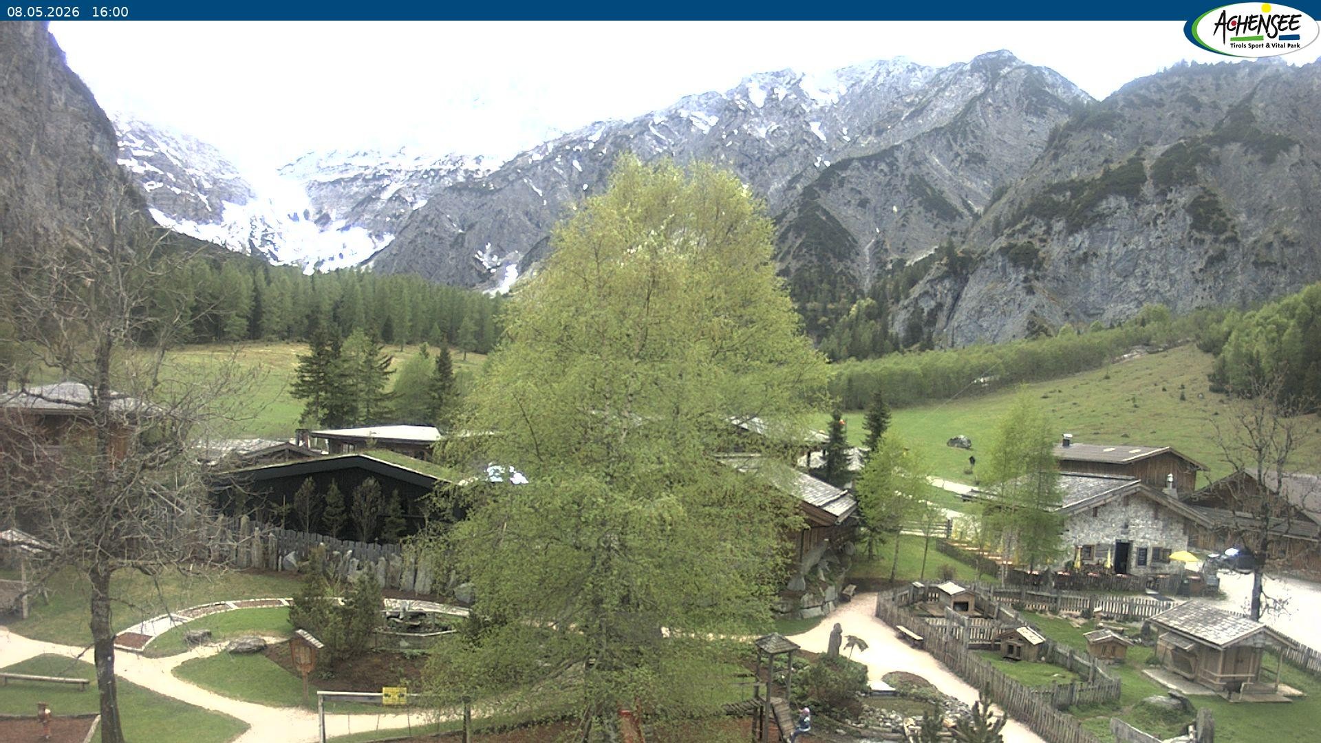 Archiv Foto Webcam Gramaialm bei Pertisau