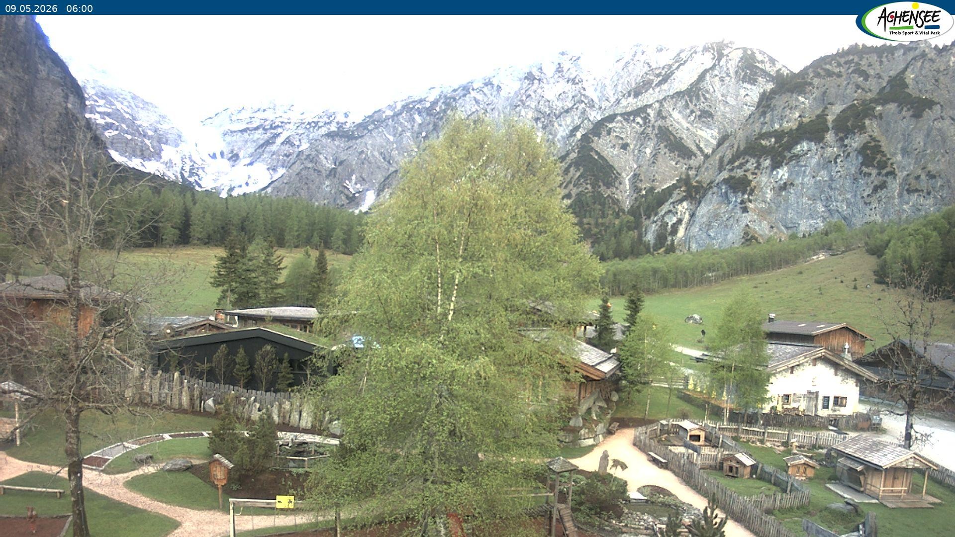 Archiv Foto Webcam Gramaialm bei Pertisau