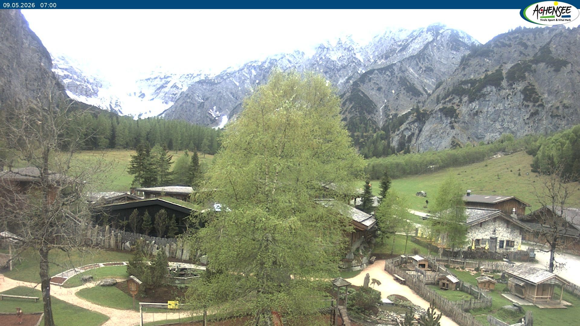 Archiv Foto Webcam Gramaialm bei Pertisau