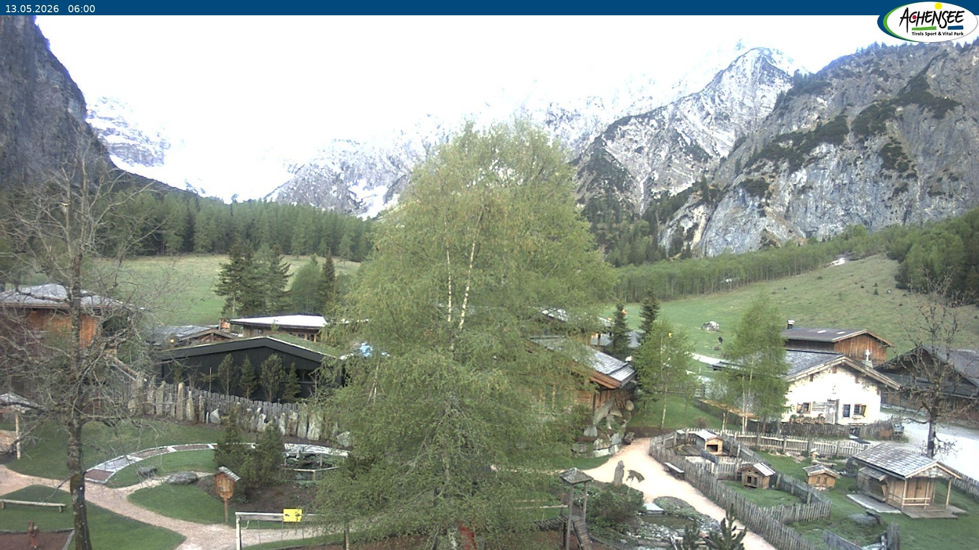 Archiv Foto Webcam Gramaialm bei Pertisau