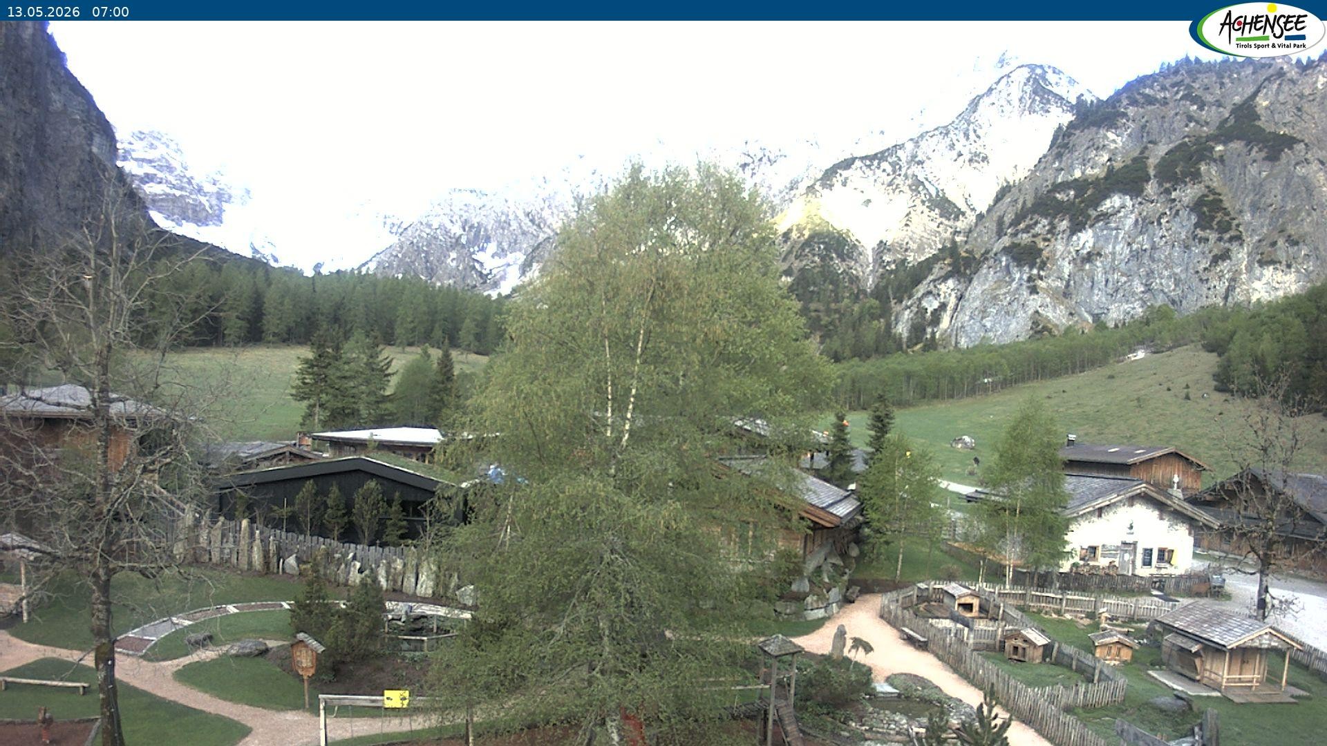 Archiv Foto Webcam Gramaialm bei Pertisau